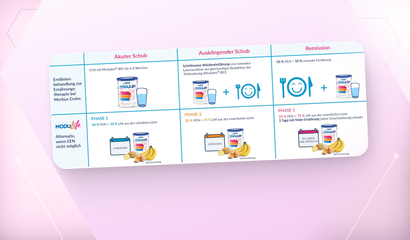 Infografik Ernährungsschema mit Modulen® IBD