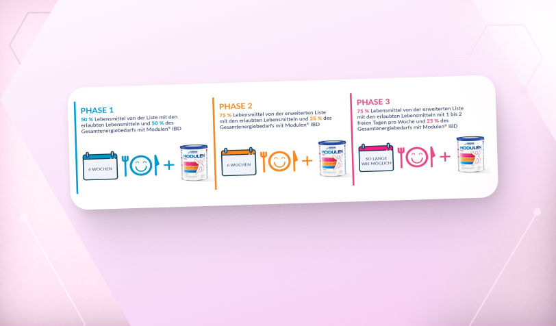 Infografik: ModuLife® Phasenmodell