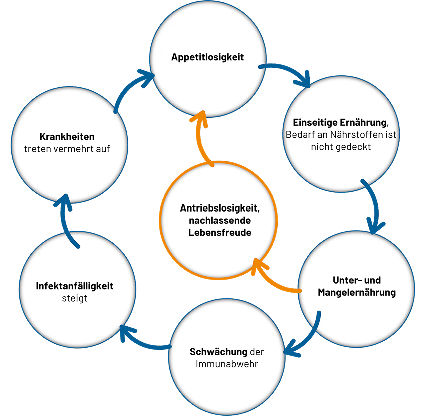 Resource - Kreislauf der Mangelernährung