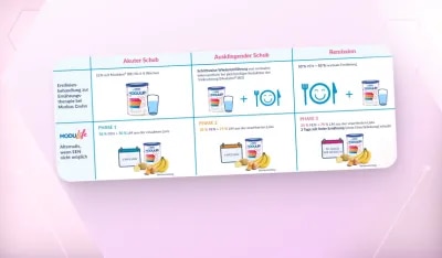 Infografik Ernährungsschema mit Modulen® IBD