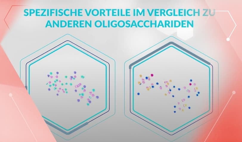 Auf dem Vorschaubild werden Oligosaccharide verglichen.
