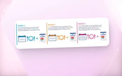Infografik: ModuLife® Phasenmodell